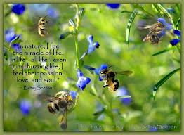 Nature quotes, nature quote, flower quotes
