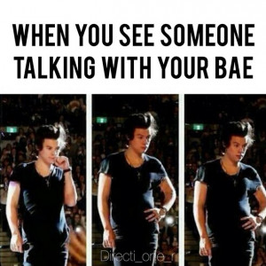 bae, funny, harry styles, one direction