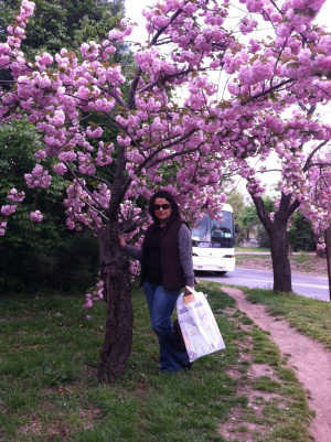 knew Washington DC was famous for itscherry blossoms in spring, but ...