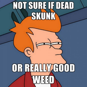 Not Sure If Dead Skunk Or Really Good Weed