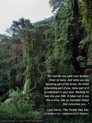 Quotes About Tropical Rainforests