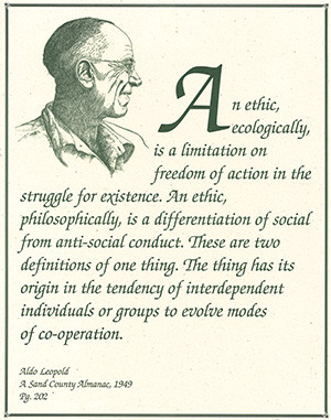 Small metal lapel pin with the Aldo Leopold Foundation logo.