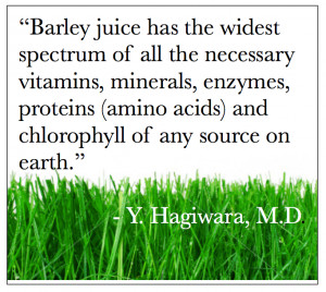 Barley Juice 411