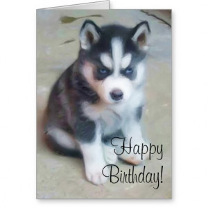 Happy Birthday Siberian husky greeting card