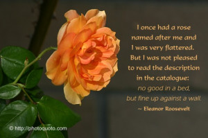 ... : no good in a bed, but fine up against a wall. ~ Eleanor Roosevelt