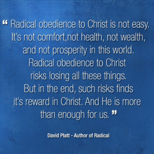 Quotes from David Platt. For more like this visit http://treasuring ...