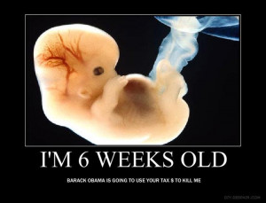 Picture of 6 Week Old Unborn Baby