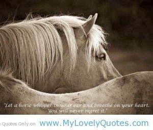 Horse Quotes & Cowgirl Quotes