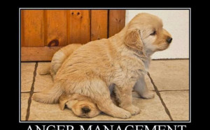 Best anger management tip ;)