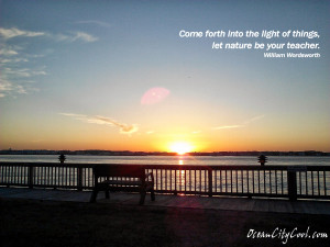 ... forth _ William Wordsworth | Inspirational Quotes Ocean City Maryland