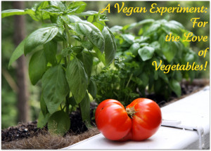 Recounting My Vegan Diet: The First 20 Days