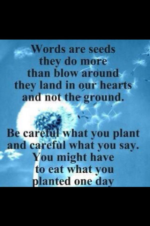 You Reap What You Sow Quotes