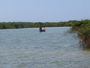 their boats on the waterways through marshlands and mangrove forests