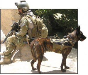 k9 military dogs
