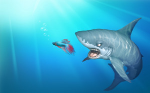 Windows 7、面白い、金魚、サメ Desktop Wallpapers and ...