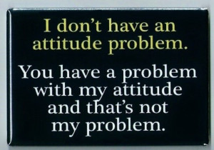 Attitude Problem FRIDGE MAGNET funny quote bad personality behavior ...