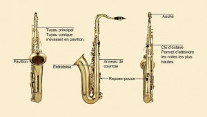 Saxophone Nor Vues
