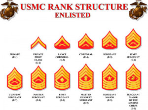 Learn the rank structure and their corresponding emblems: