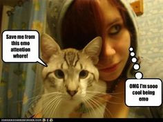 Emo attention whore More