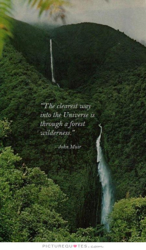 ... way into the Universe if through a forest wilderness Picture Quote #1