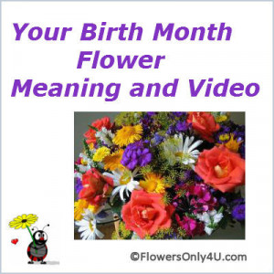 Related Pictures birth month flowers eyesforyourimage
