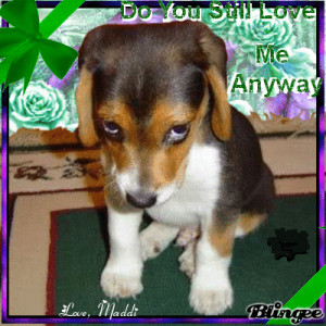 Do You Still Love Me Anyway?