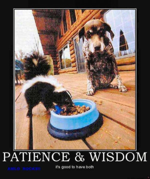 Patience & Wisdom