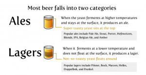 11 Surprising Beer Facts to Impress Your Friends