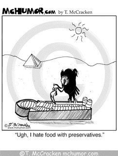 The Archaeologist and the Trowel