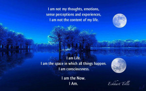 in consciousness , often referred to as awakening or enlightenment ...