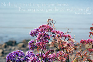 Today is a day that I need to learn how to be both strong and gentle ...