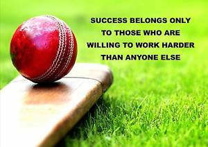CRICKET-MOTIVATIONAL-QUOTE-SIGN-POSTER-PRINT-PICTURE-SUCCESS-BELONGS