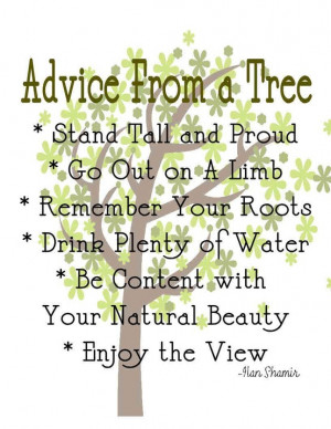 advice_from_a_tree.2.jpg