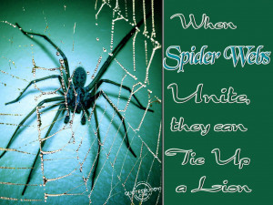 When spider webs unite, they can tie up a lion