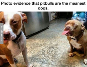 Meanest dogs ever