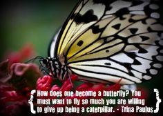 ... are willing to give up being a caterpillar.