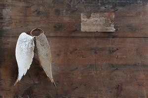 Angel Wings. (attic.©2012)