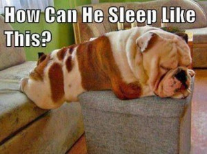 Found on fbcdn-sphotos-a-a.akamaihd.net