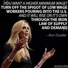 Ann Coulter More