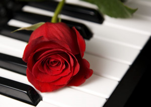Simply Red Piano Keys Rose...