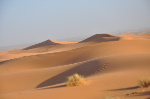 nel grande sahara m har e nel sahara tunisino solo il deserto