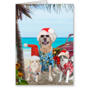 Funny Pets Hawaiian/Surfer Christmas Greeting Card
