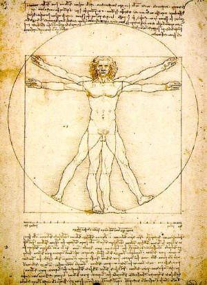 Leonardo da Vinci: From Sketches to Paintings
