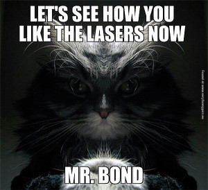 funny-pictures-bond-cat-villain