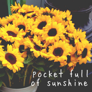 sunflowers for my sunshine
