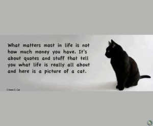 What matters most in life is quotes and stuff that tell you what life ...