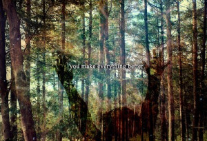 Colours Forest Quote Text