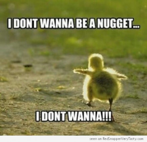 Baby Chick “I Don’t Wanna Be A Nugget…”