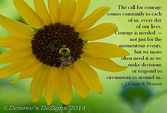 ) Tags: flowers summer brown flower green church yellow garden insect ...