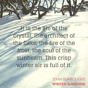 12 Cozy quotes in celebration of the winter solstice
